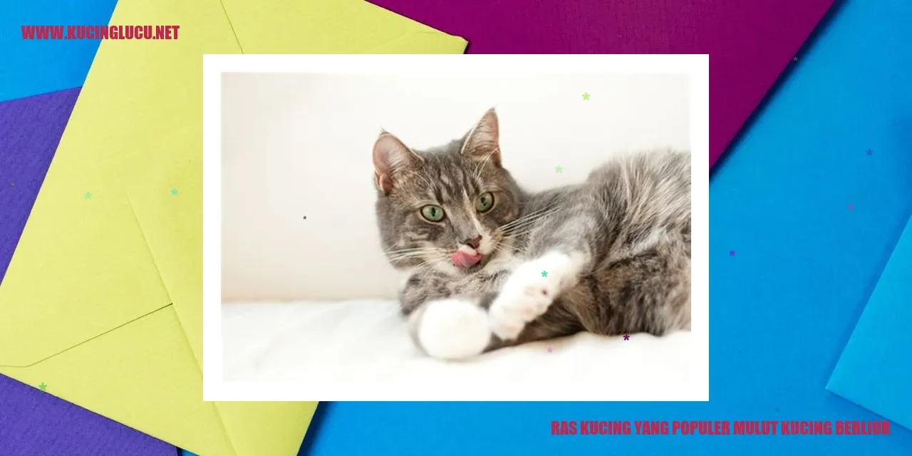 Ras Kucing yang Populer mulut kucing berliur