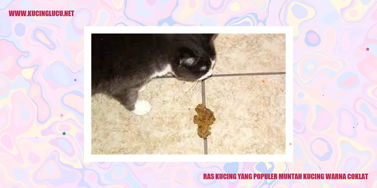 Kucing Warna Coklat