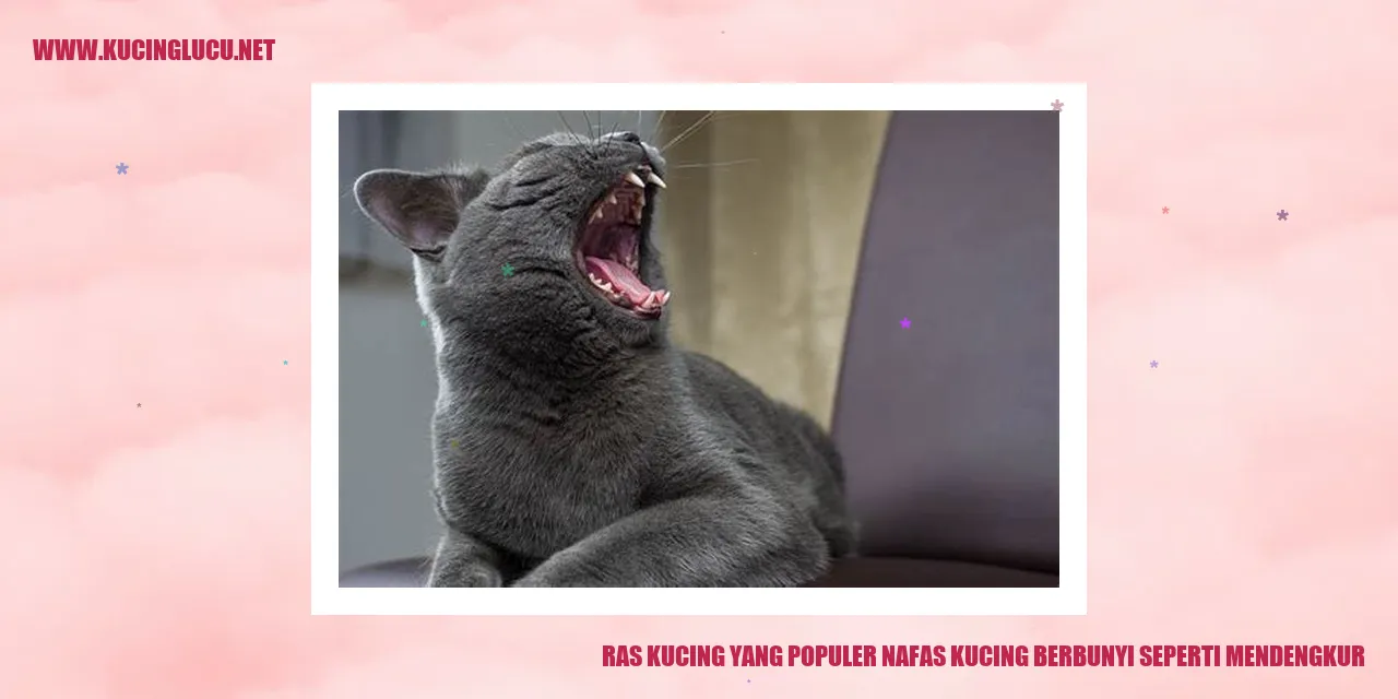 Ras Kucing yang Populer