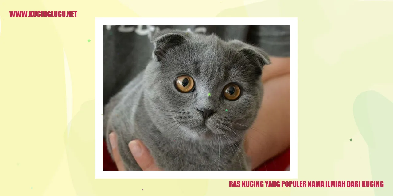 Ras Kucing yang Populer nama ilmiah dari kucing