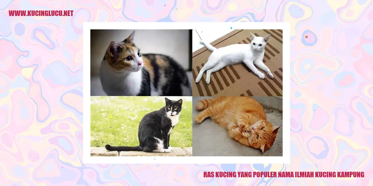 Ragam Kucing yang Terkenal: Nama Ilmiah Kucing Kampung