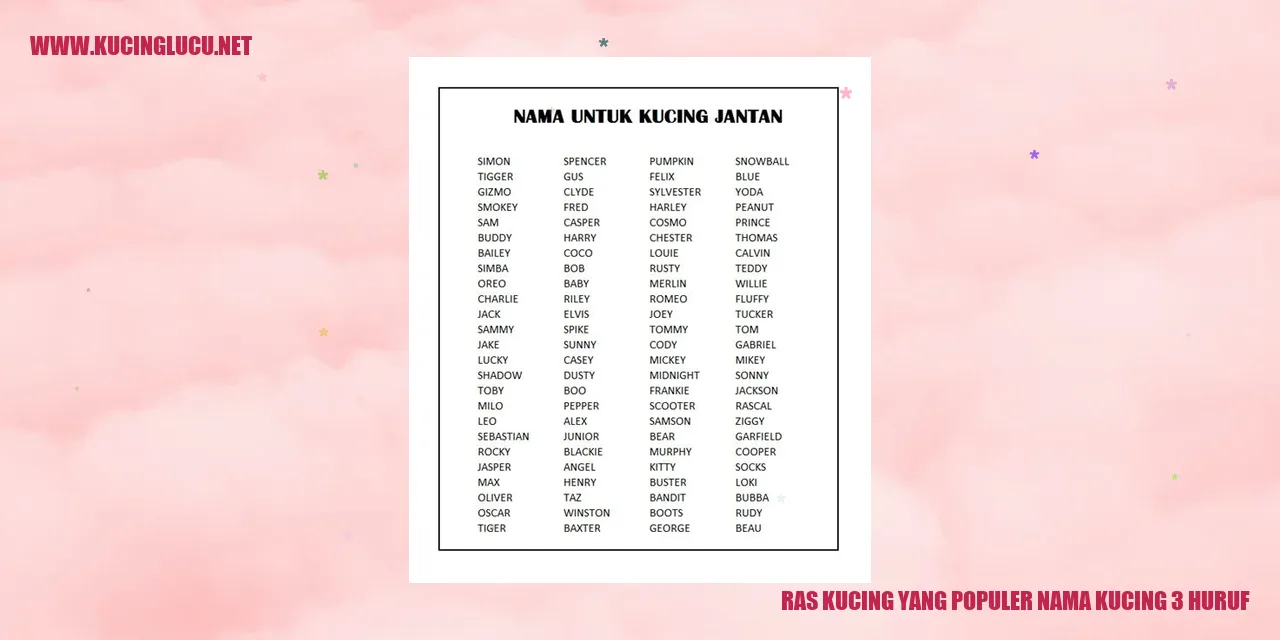 Ras Kucing yang Terkenal dengan Nama Kucing Tiga Huruf