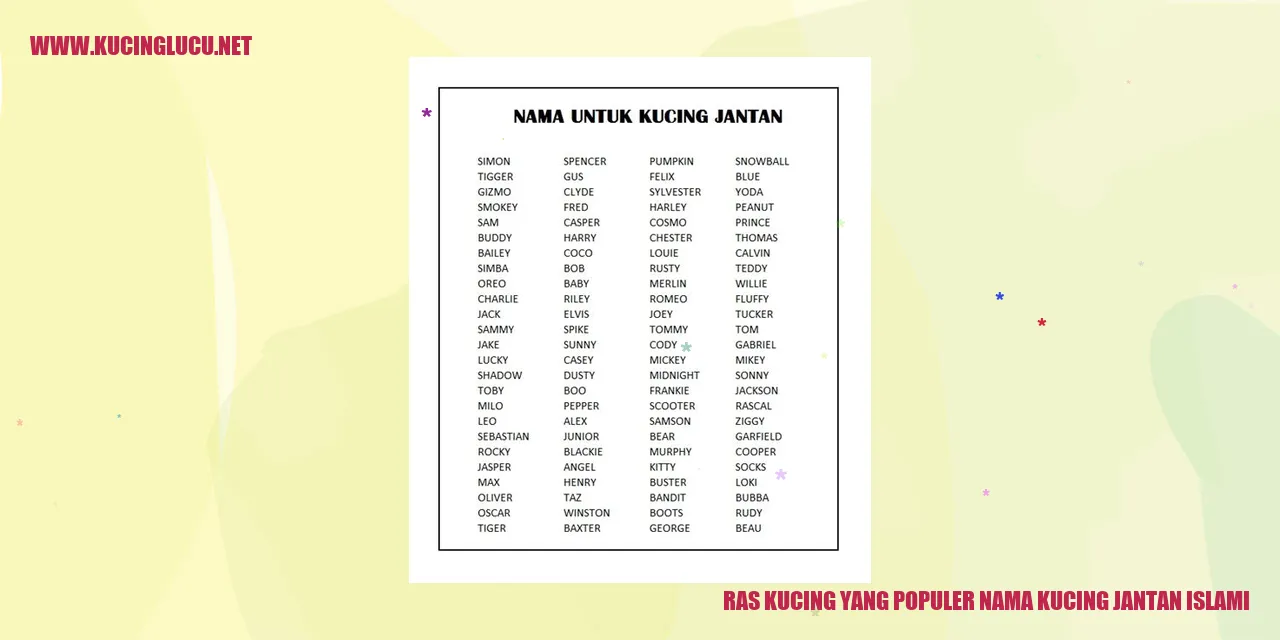 Ras Kucing yang Populer Nama Kucing Jantan Islami
