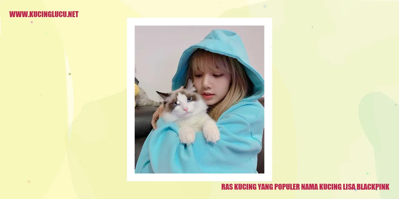 Ras Kucing yang Populer nama kucing lisa blackpink