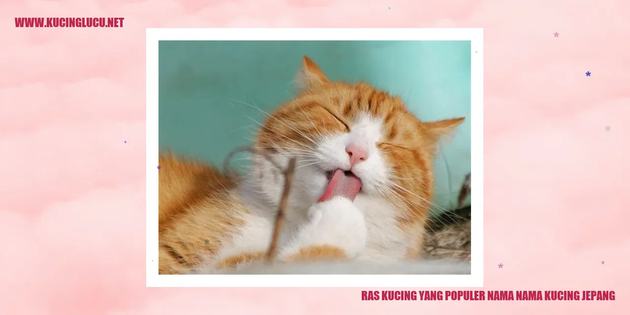 Ras Kucing yang Terkenal: Ragam Nama-nama Kucing Jepang