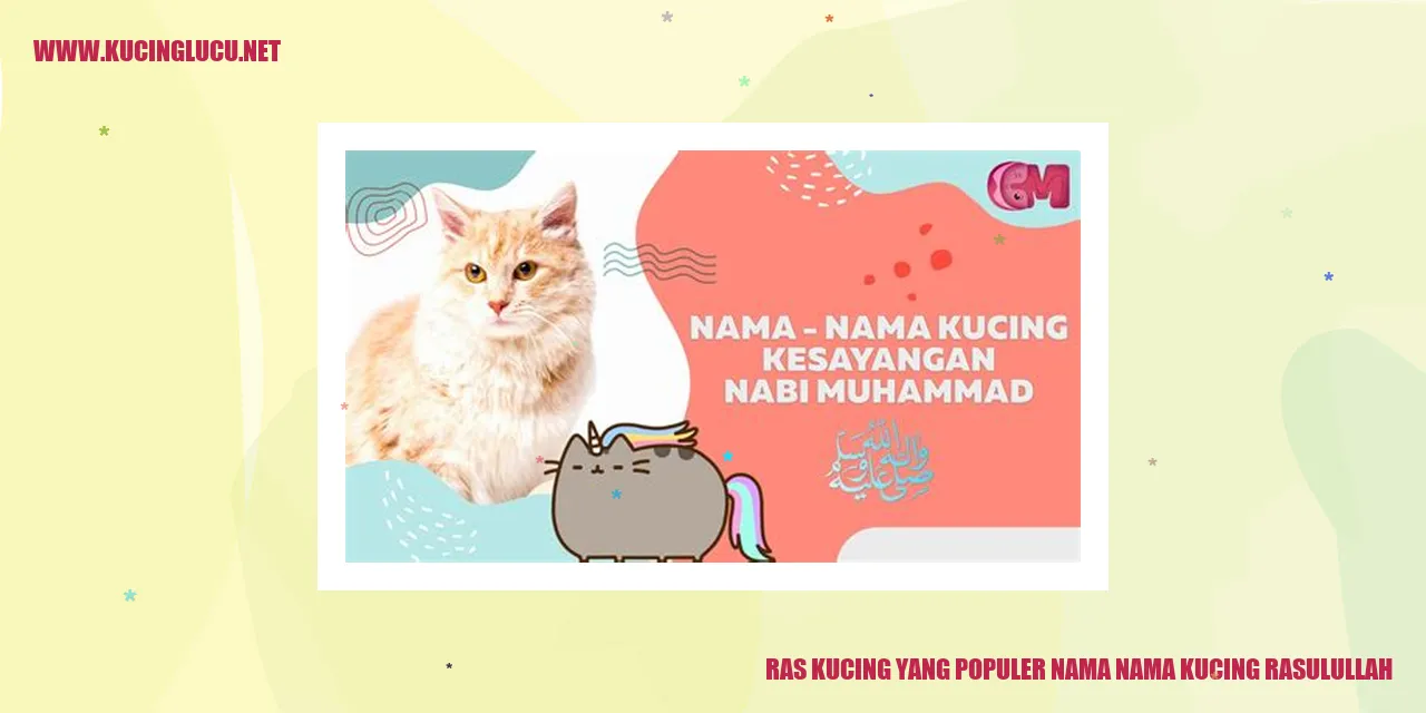 Ras Kucing yang Populer dengan Nama-nama Kucing Rasulullah