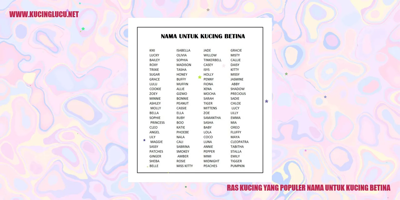 Kucing Betina