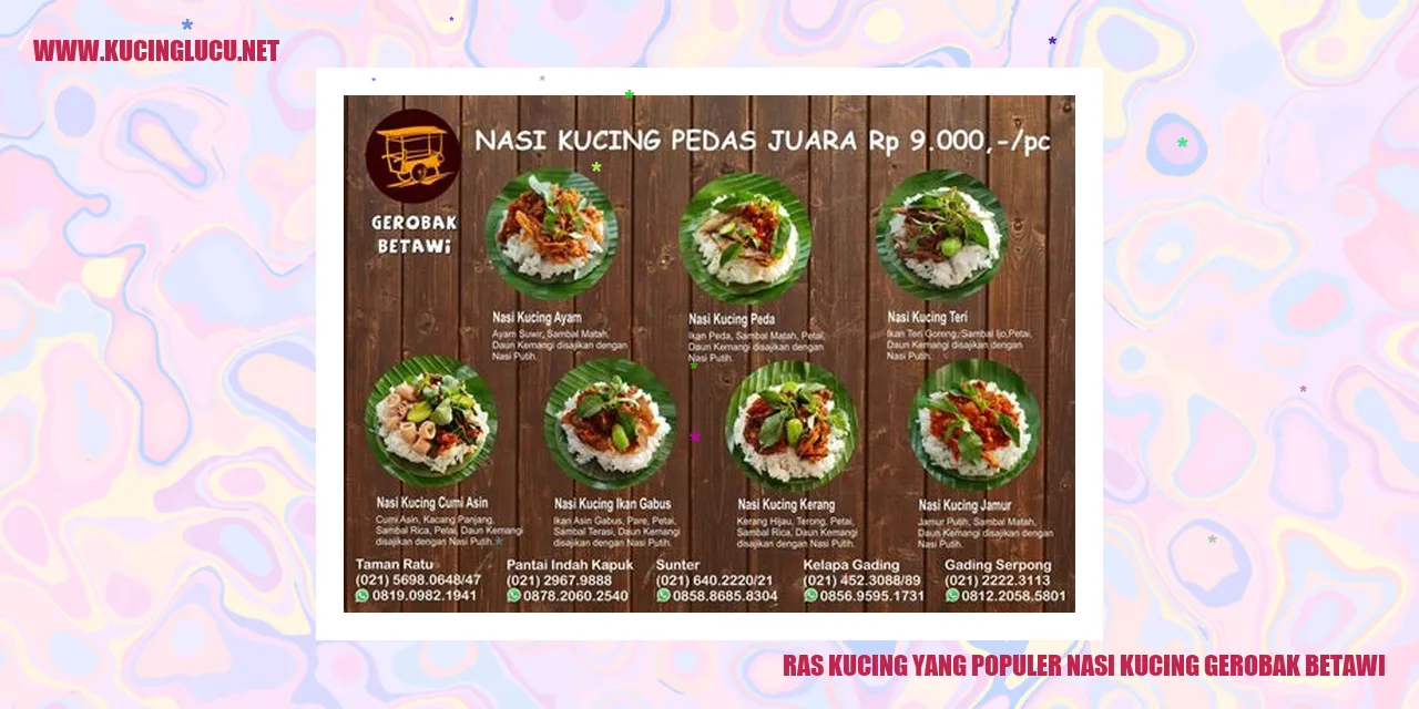 Nasi Kucing Gerobak Betawi