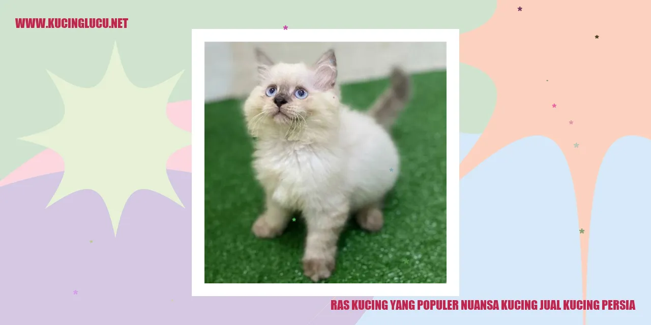 Kucing Persia: Ras Kucing yang Populer dengan Karakteristik yang Mengagumkan