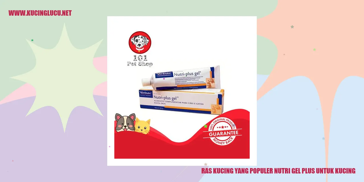 Kucing dengan Nutri Gel Plus
