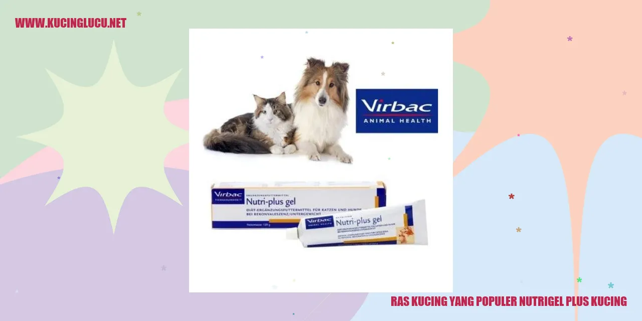 Kucing Nutrigel Plus