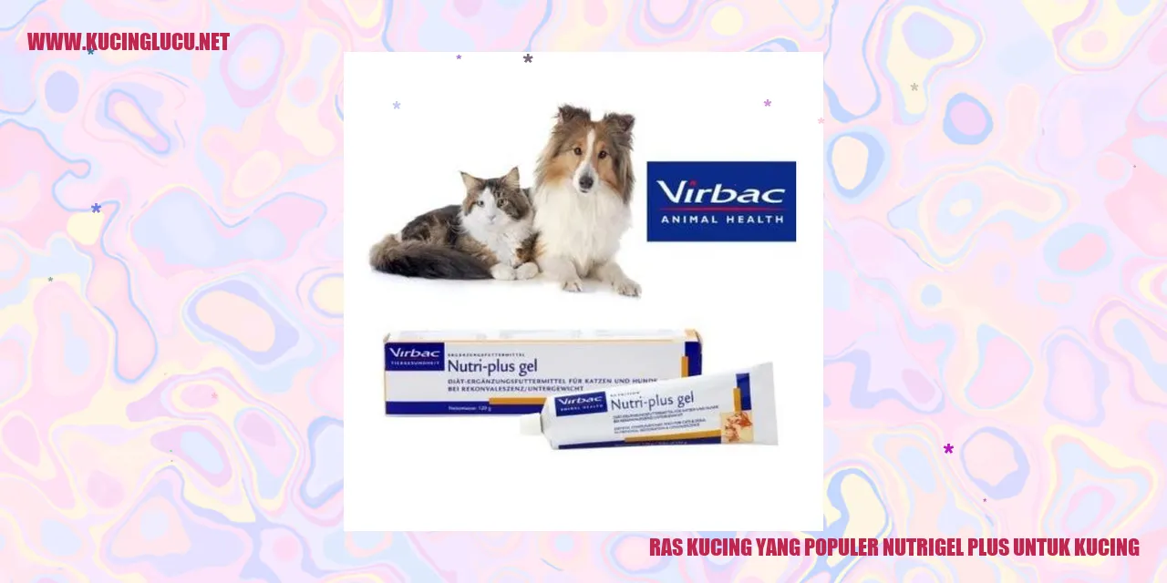 Ras Kucing yang Populer nutrigel plus untuk kucing