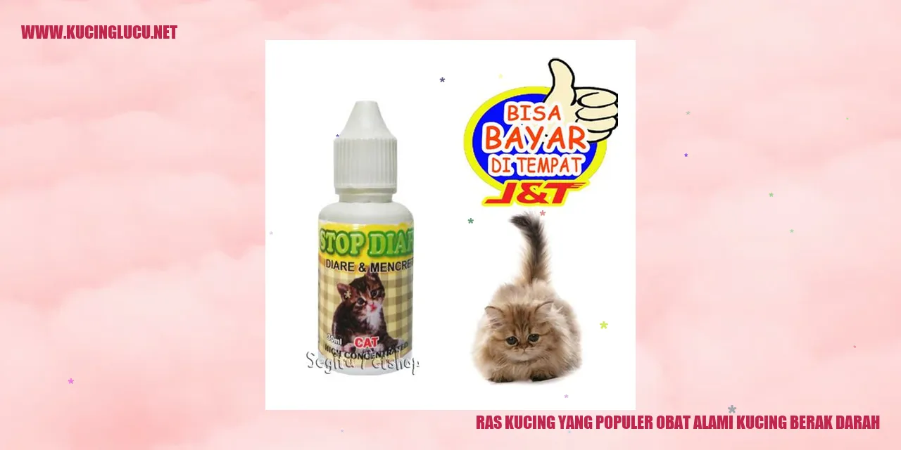 Kucing Menggemaskan