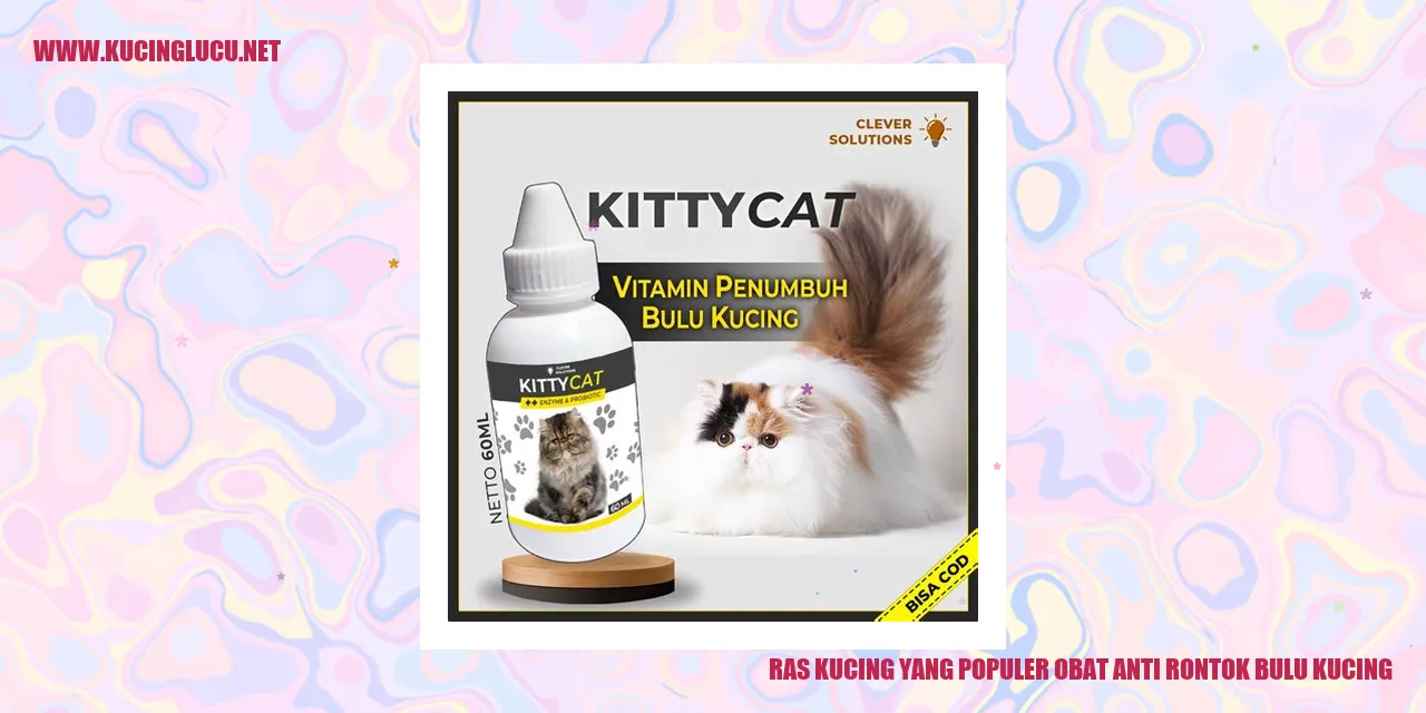 Ras Kucing yang Populer obat anti rontok bulu kucing