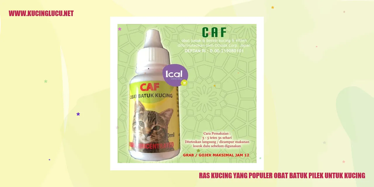 Kucing dengan Ras yang Populer sebagai Obat Batuk Pilek untuk Kucing