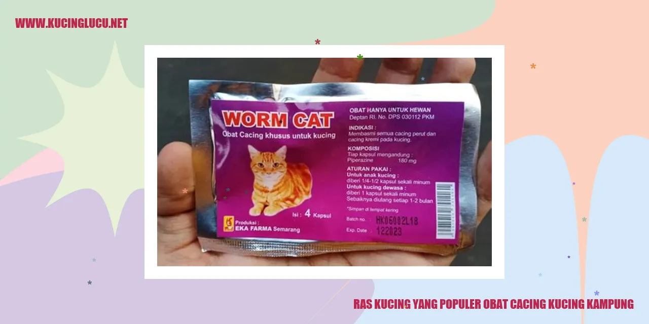 Kucing Kampung
