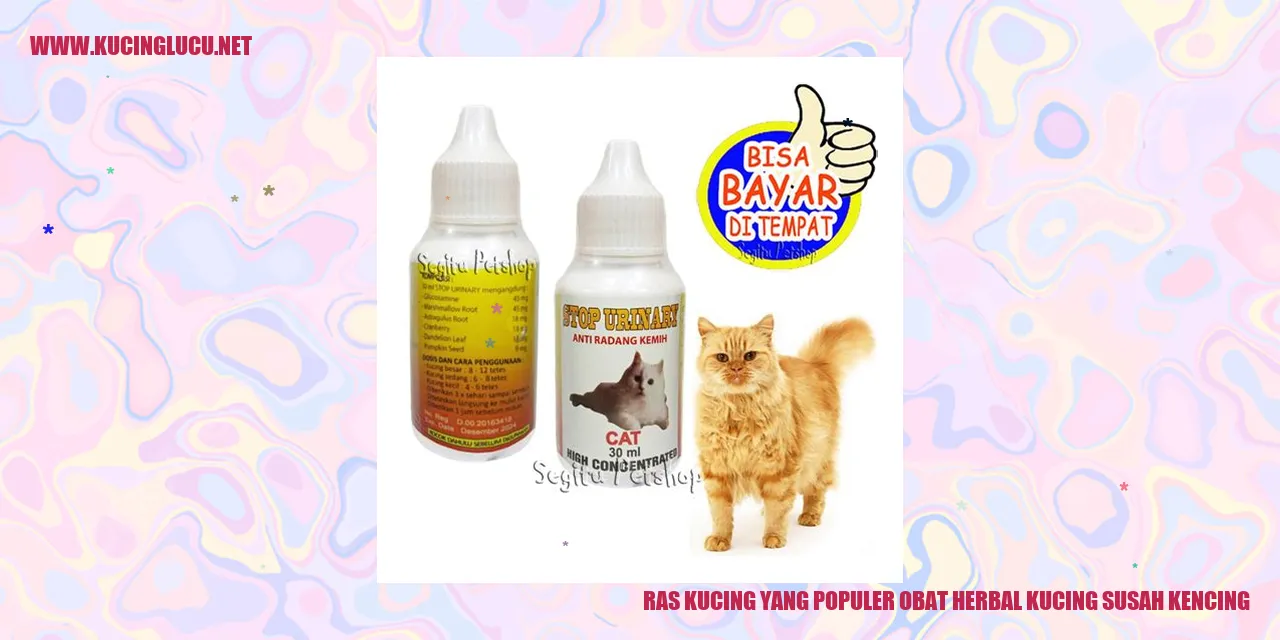 Ras Kucing yang Terkenal sebagai Pengobatan Herbal untuk Kucing Sulit Buang Air Kecil