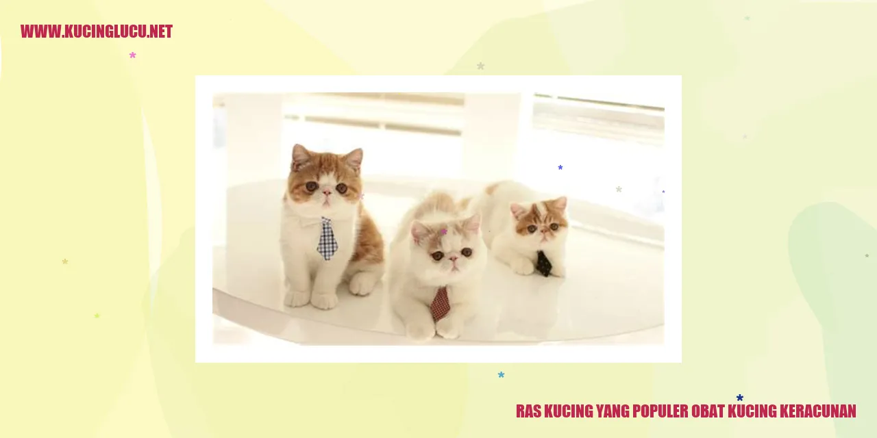 Gambar Ras Kucing Populer sebagai Antidot untuk Racun pada Kucing