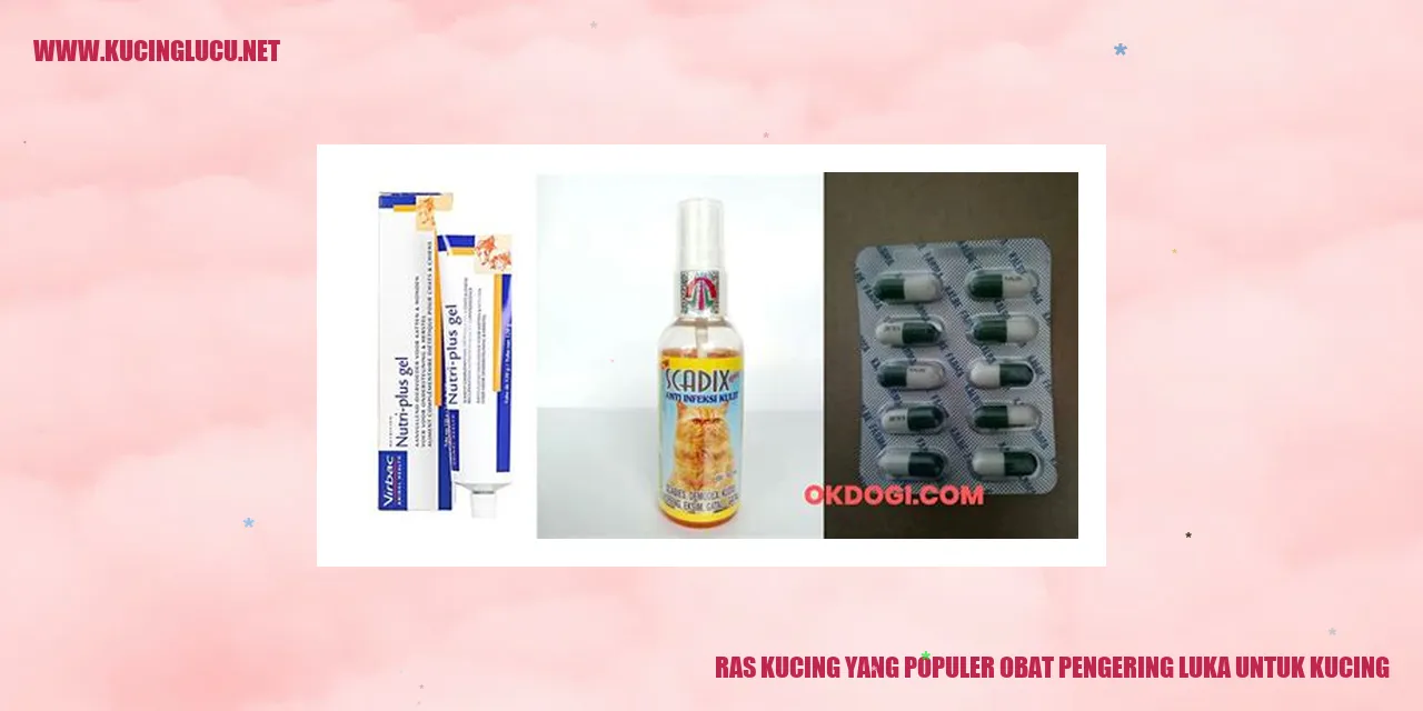 Ras Kucing yang Populer obat pengering luka untuk kucing