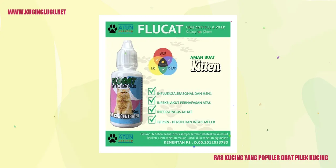 Ras Kucing yang Populer obat pilek kucing