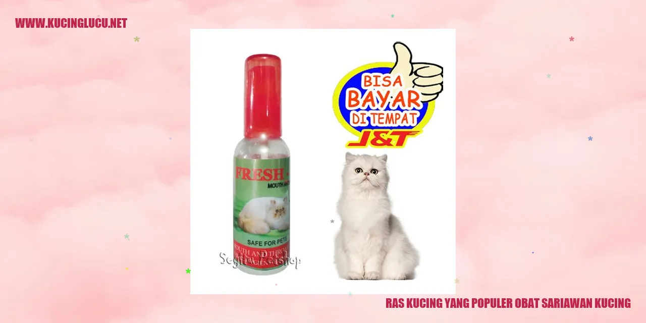 Ras Kucing yang Populer sebagai Obat Sariawan Kucing