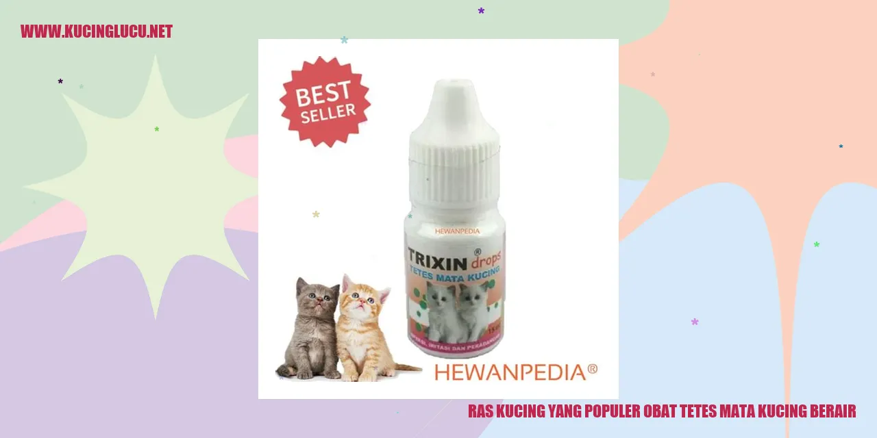 Mata Berair pada Kucing