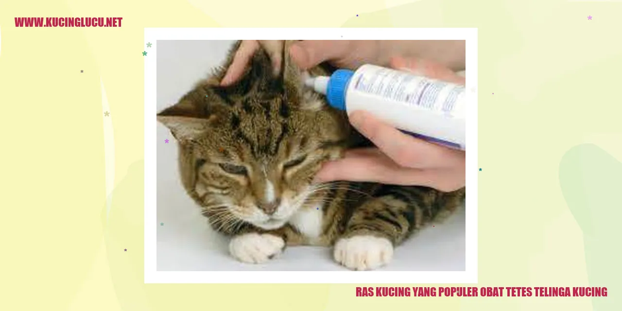 Ras Kucing yang Terkenal dengan Obat Tetes Telinga