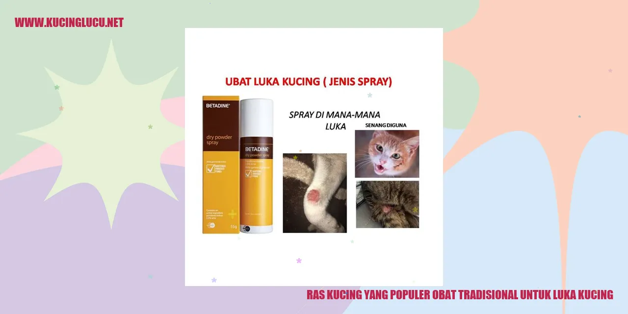 Ras Kucing yang Populer obat tradisional untuk luka kucing