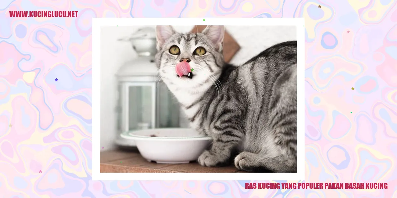 Ras Kucing yang Populer sebagai Pakan Basah Kucing