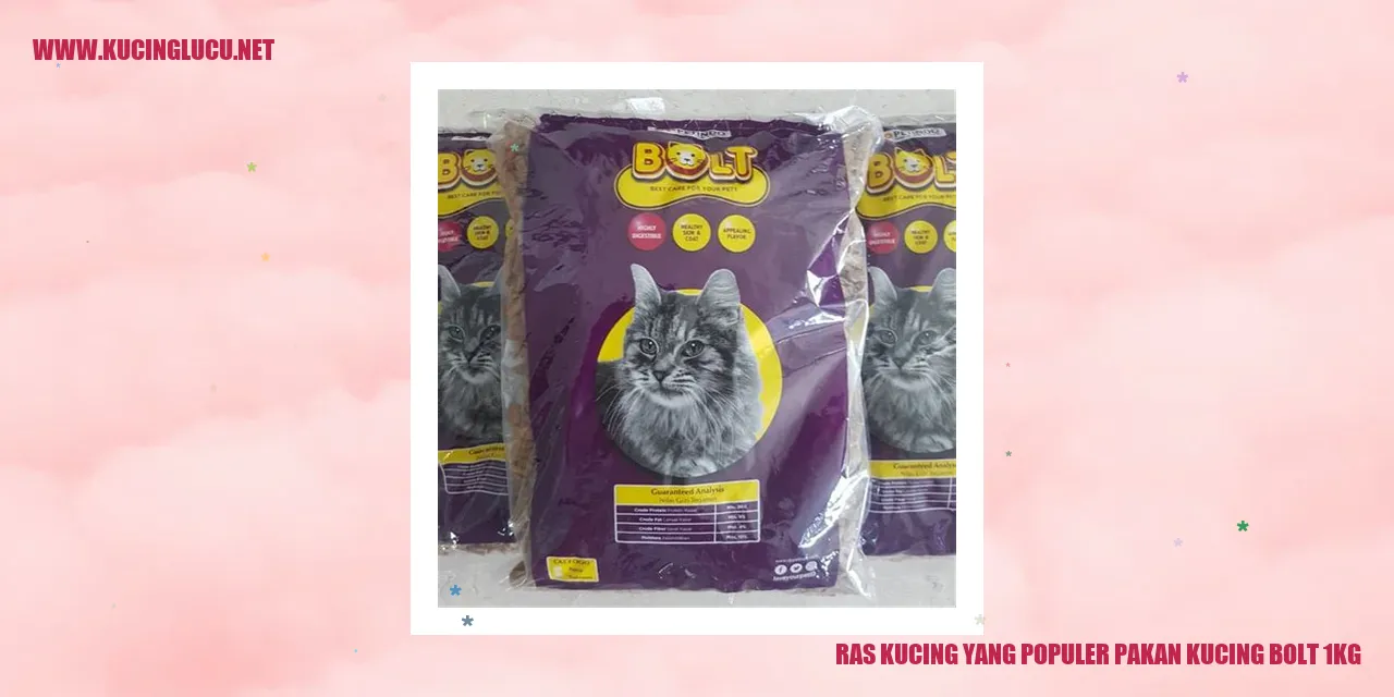 Kucing menikmati Bolt 1kg