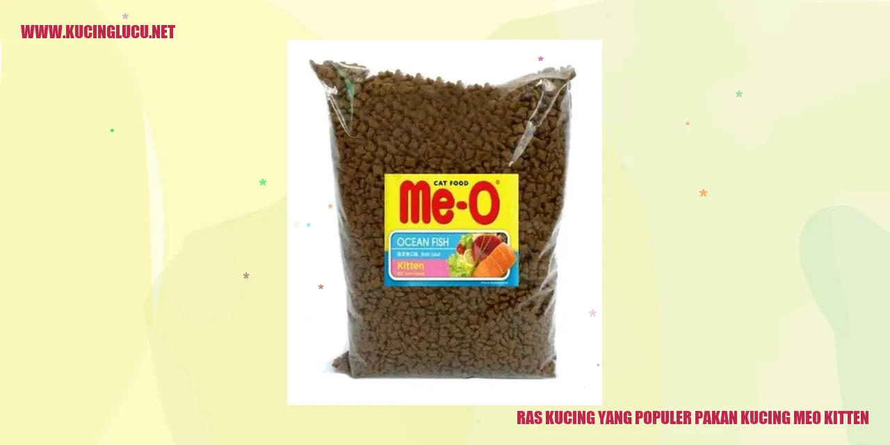 Ras Kucing yang Populer pakan kucing meo kitten