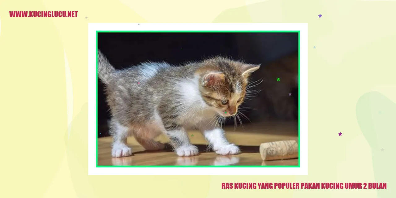 Ras Kucing yang Populer