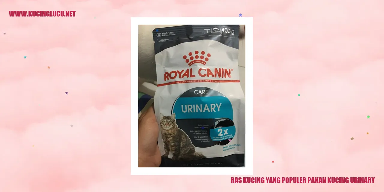 Ras Kucing Populer untuk Pakan Kucing Urinary