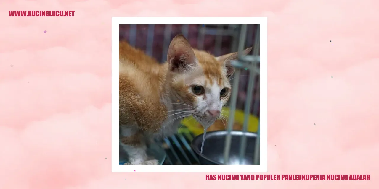 Ras Kucing yang Populer: Panleukopenia Kucing