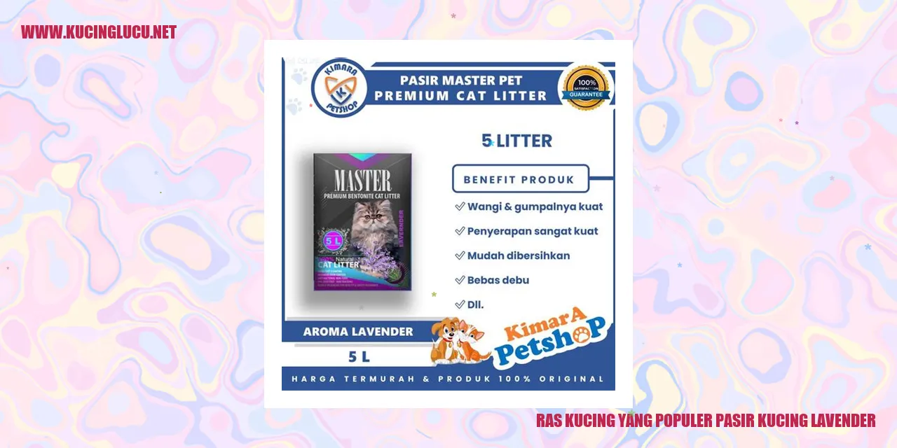 Ras Kucing yang Populer pasir kucing lavender