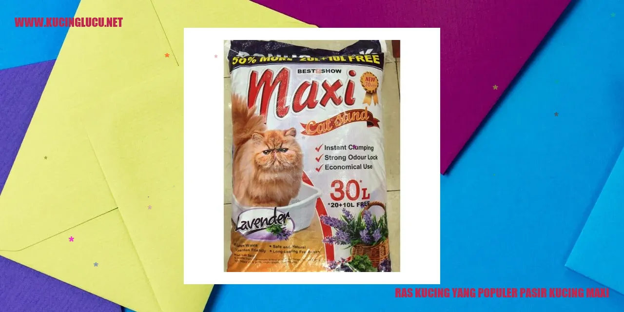 Ras Kucing yang Populer pasir kucing maxi