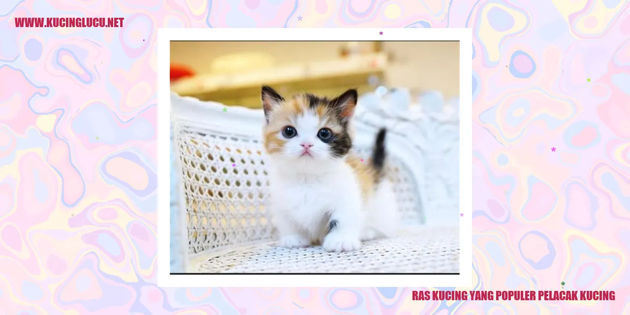 Ras Kucing yang Populer pelacak kucing