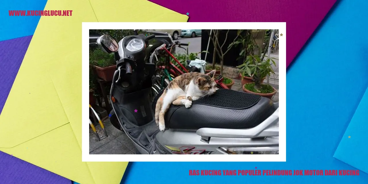 Ras Kucing yang Populer