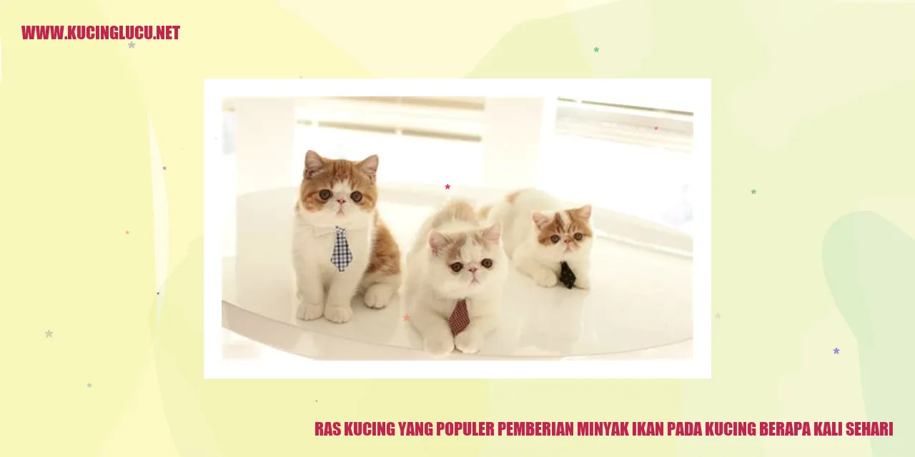 Ras Kucing yang Populer