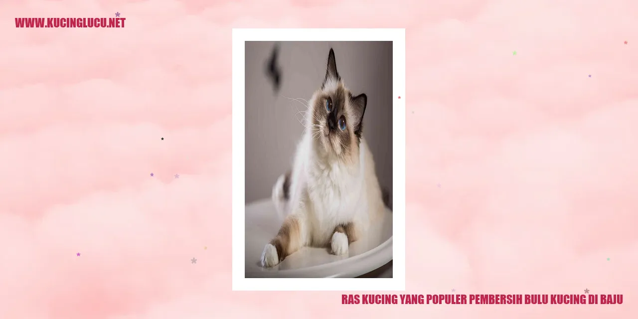 Ras Kucing yang Populer pembersih bulu kucing di baju