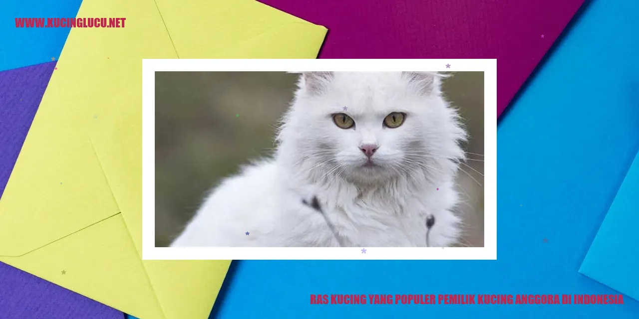 Kucing Anggora