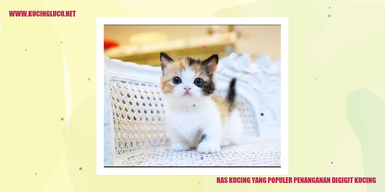 Ras Kucing yang Populer dalam Penanganan Gigitan Kucing