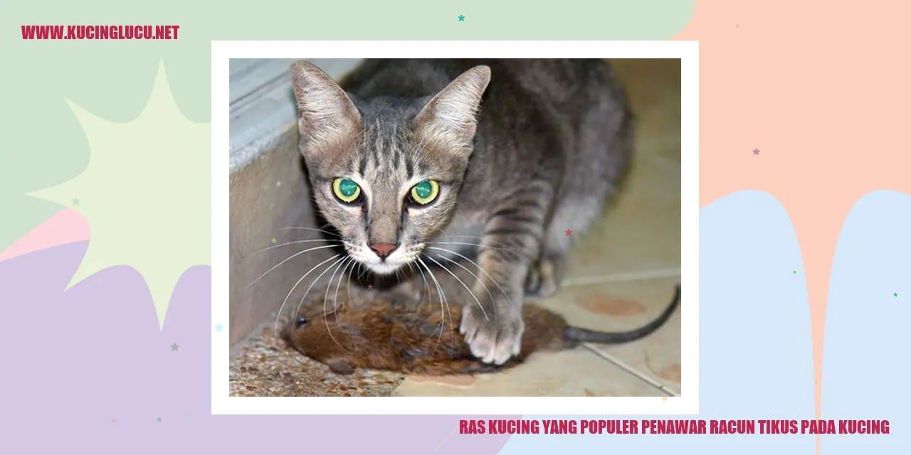 Ras Kucing yang Populer penawar racun tikus pada kucing