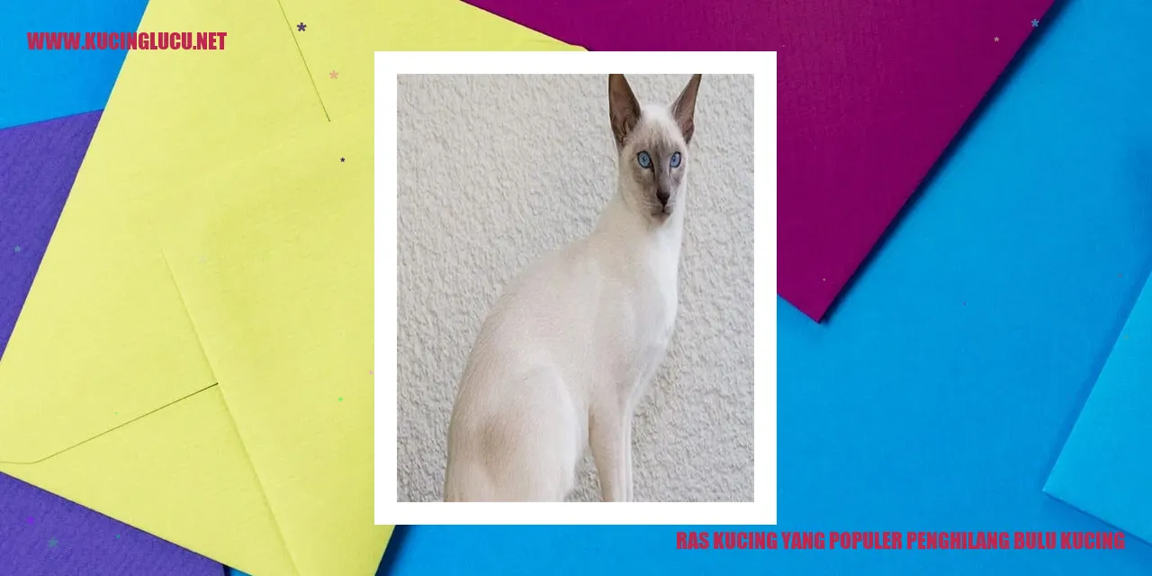 Ilustrasi Kucing Ras Penghilang Bulu Kucing