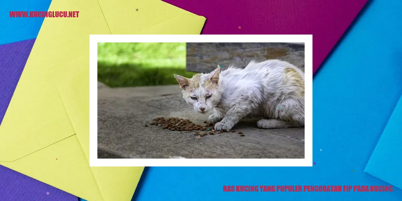Ras Kucing yang Populer pengobatan fip pada kucing