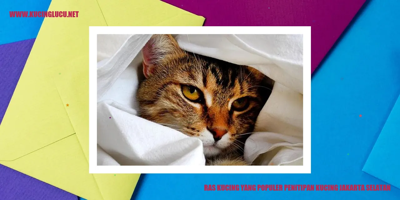 Ras Kucing yang Populer penitipan kucing jakarta selatan