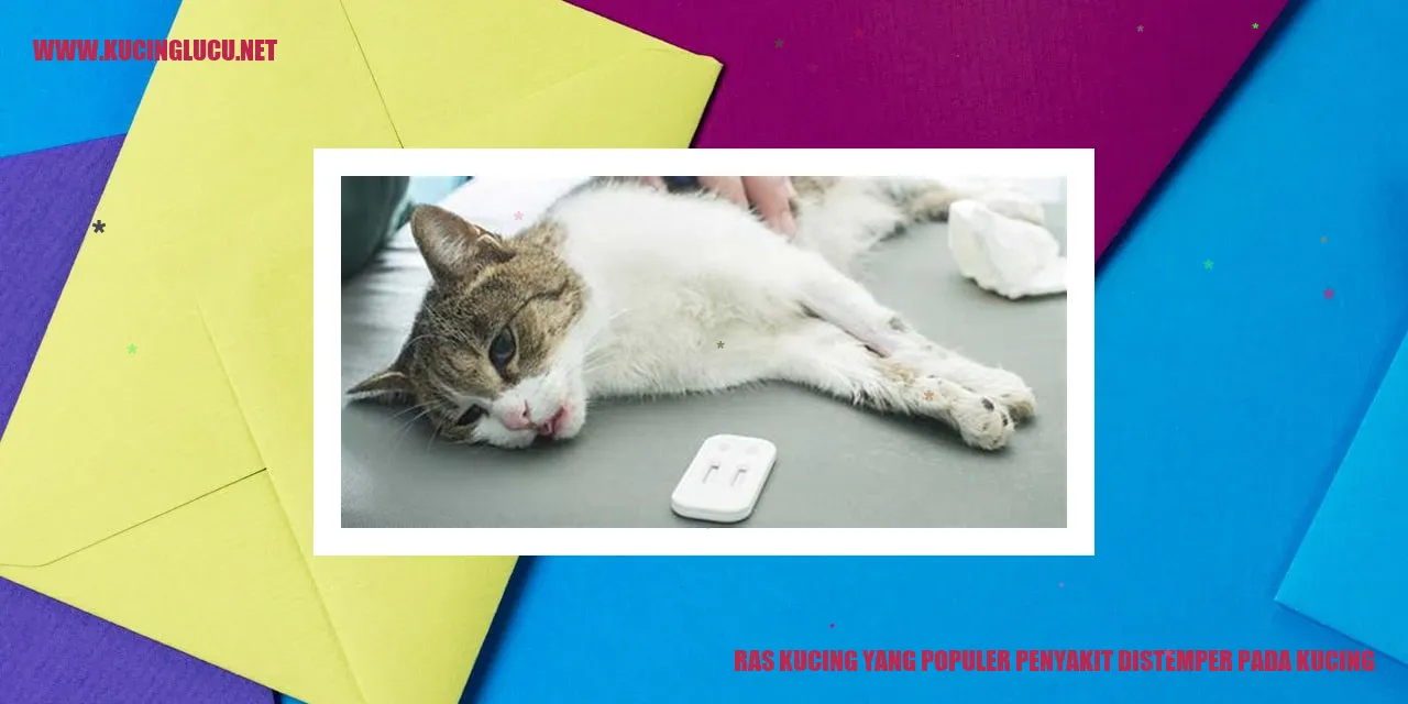 Ras Kucing yang Populer Penyakit Distemper pada Kucing