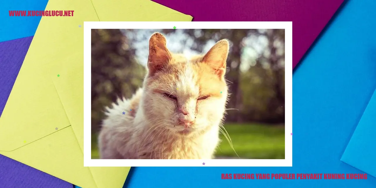 Kucing menderita penyakit kuning
