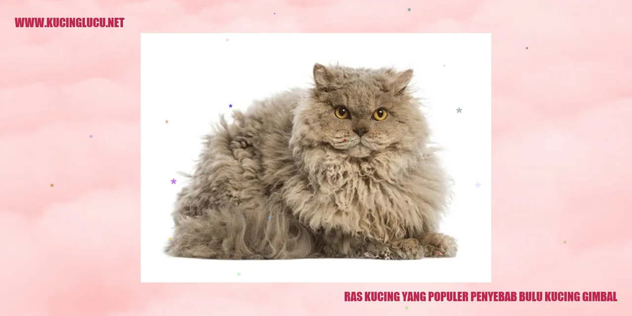 Ras Kucing yang Populer