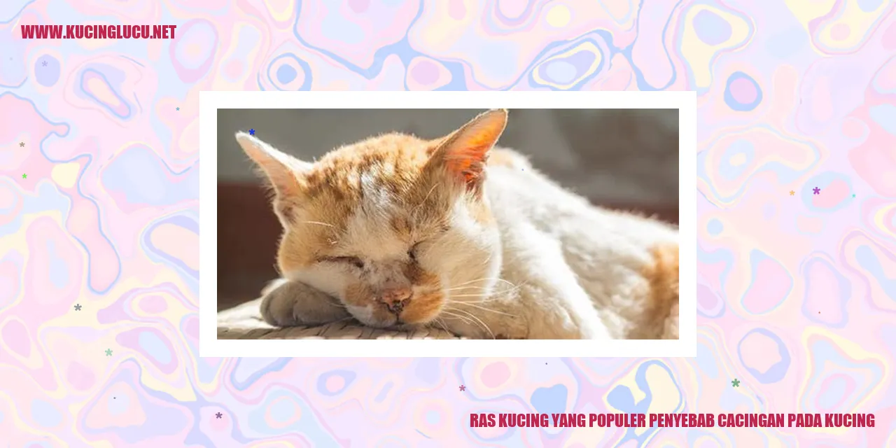 Ras Kucing yang Populer penyebab cacingan pada kucing